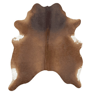 Southwestern Indoor Rug