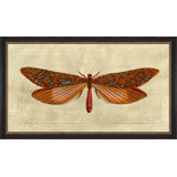 Crackled Moth 1 Painting