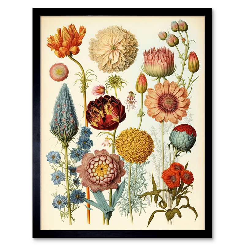 Lattingtown Vintage Botanical - Single Picture Frame Print