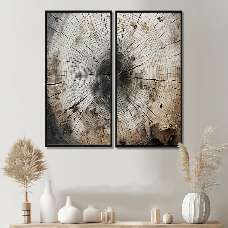 «Tree Cut Stump Beauty», art mural sur toile traditionnel, H 40 po x l 40 po, Noir, Impression encadrée flottante