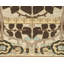 Inverness Wool Oriental Area Rug in Beige/Brown-40705415