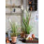 Faux Pampas Grass Grass in Pot-70917897