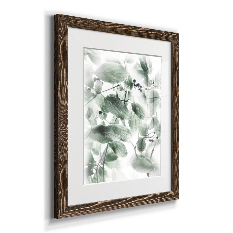 Berry Blush II - Reproduction d'art graphique sur papier encadré, H 24 po x l 18 po x P 1,5 po, Noyer