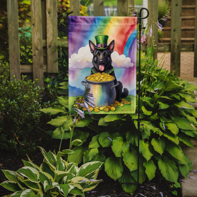 Double Sided 15.5'' H x 11.25'' W Polyester St Patrick's Day Garden Flag