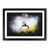 Black Framed selected
