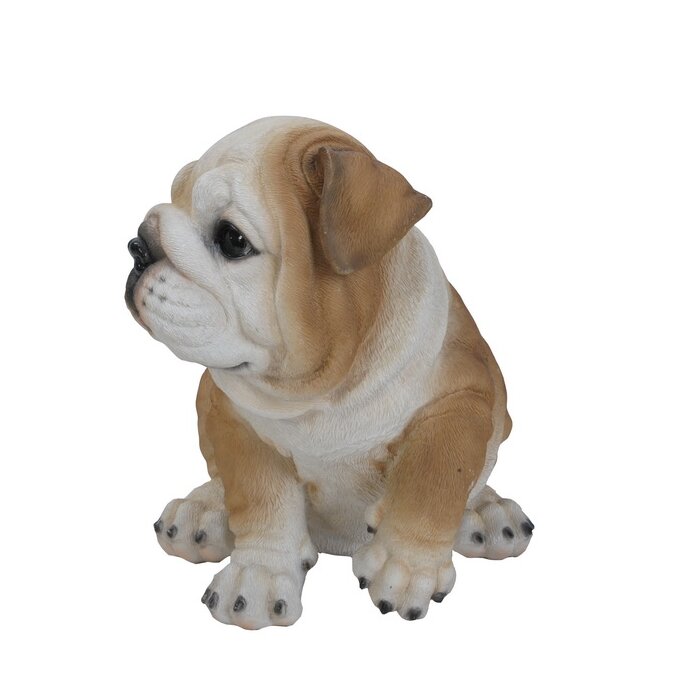 English Bulldog Puppy Glass Eyes Statue Adorable Bully Wrinkles Red Wh –  BOTEGA EXCLUSIVE