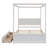 Dilyla Storage Canopy Bed-609413282-668383170