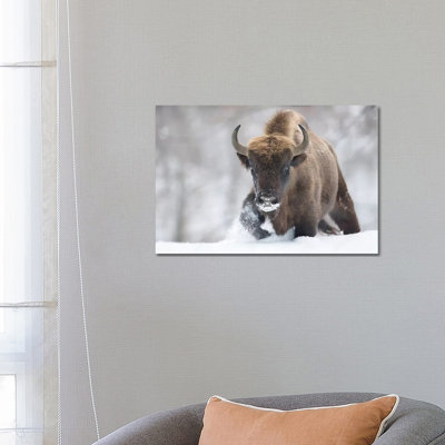 Rewilded 1 Piece Wall Art on Canvas