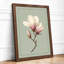 Magnolia in Bloom Botanical - Framed Print-1134726007-1134726010