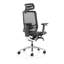 Ergo Click Mesh Executive Chair with Headrest