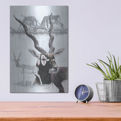 «Black Buck» par Barbara Keith