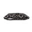 Lit terrier Pendleton-126517498-126517500