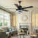 Eustolio 52'' DIY Shade Reversible Caged Ceiling Fan with Dimmable LED Light and Remote