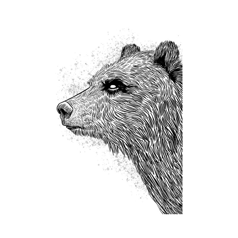 Sketch Bear Brizzly by Alberto Perez - Wrapped Canvas Painting, 66.04 cm H x 45.72 cm W
