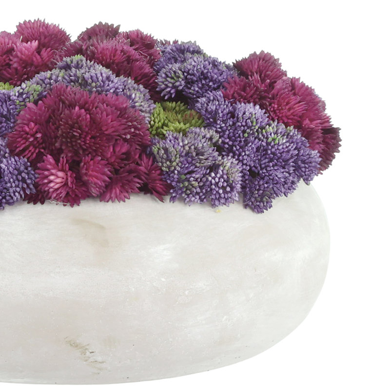 Sedum Arranged in a Stone Planter, Green/Purple/Burgundy, 7" H x 11" W x 11" D