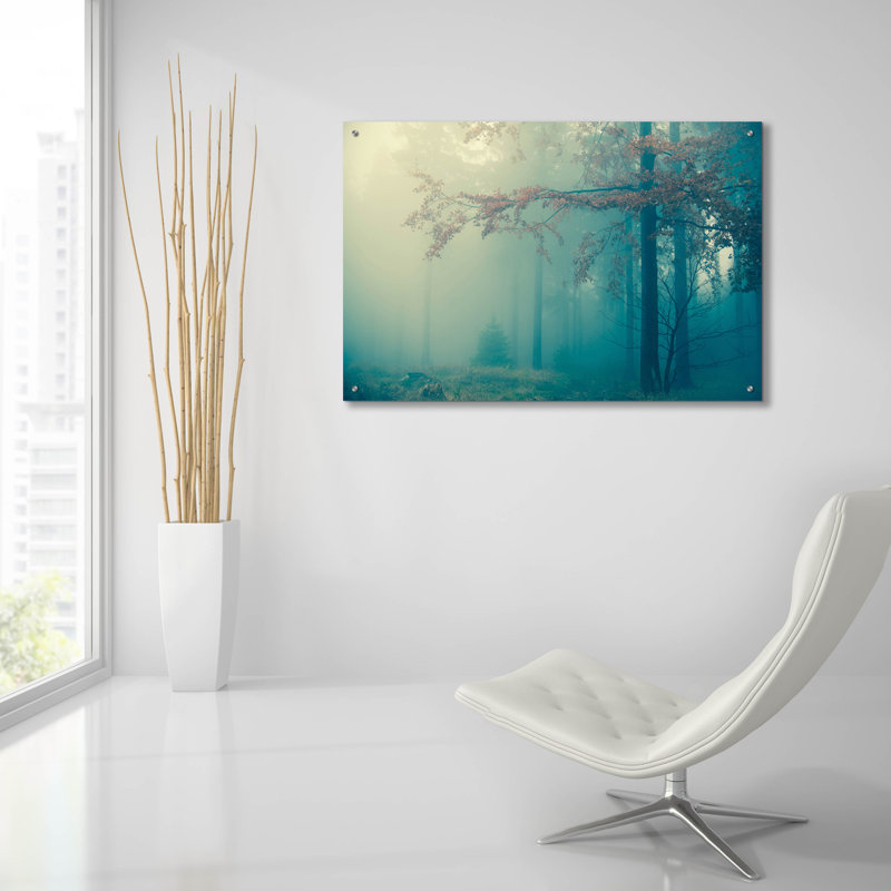 «Woods 3» par PhotoINC Studio, H 24 po x l 36 po x P 0,2 po