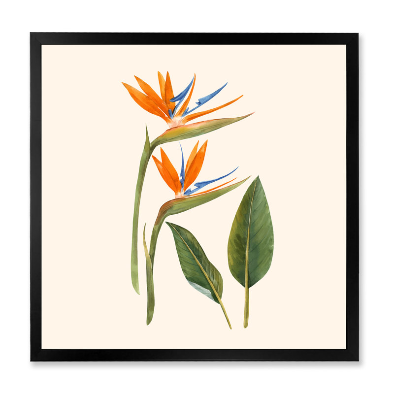 Fleurs de strelitzia rétro - impression sur toile, H 30 po x l 30 po x P 1 po, Cadre photo noir