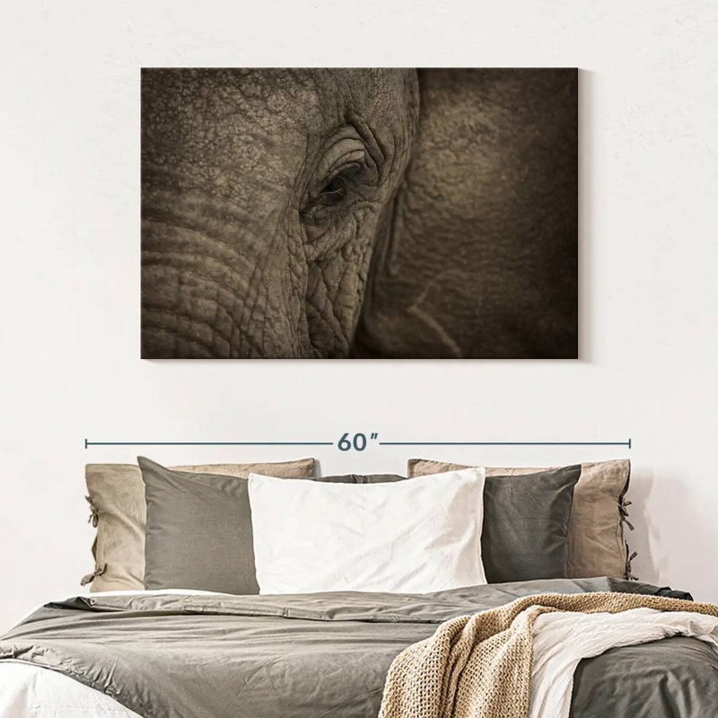Brampt African Elephant Eye, 32" H x 48" W