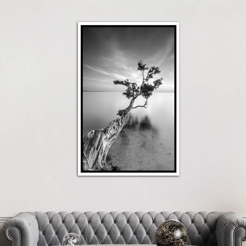 « water tree v » par moises perception-reproduction de photo, H 26 po x l 18 po x P 1,5 po, Toile blanche encadrée