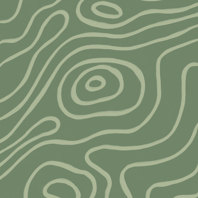 Carte topographique vert grisâtre, H 36 po x l 36 po