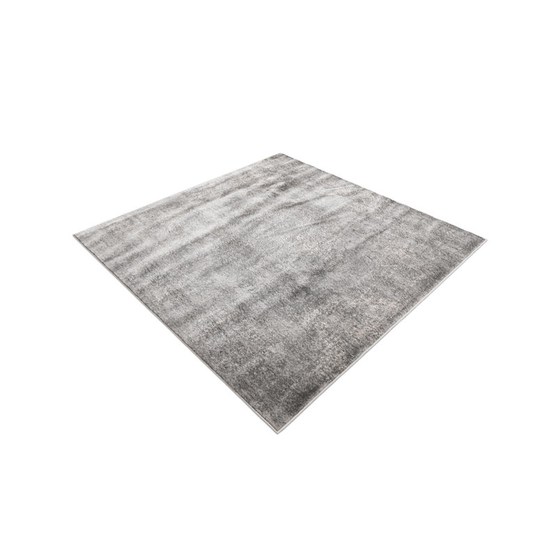 Tapis oriental gris Janousek, Carré 10 pi