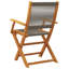 Chaises de patio pliantes vidaXL-464468780