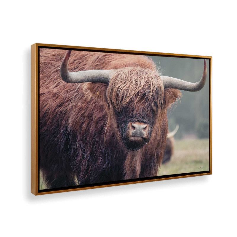 «Scottish Highlander» par Martin Podt, reproduction d'art, Toile avec cadre, L 36 x H 24, Or