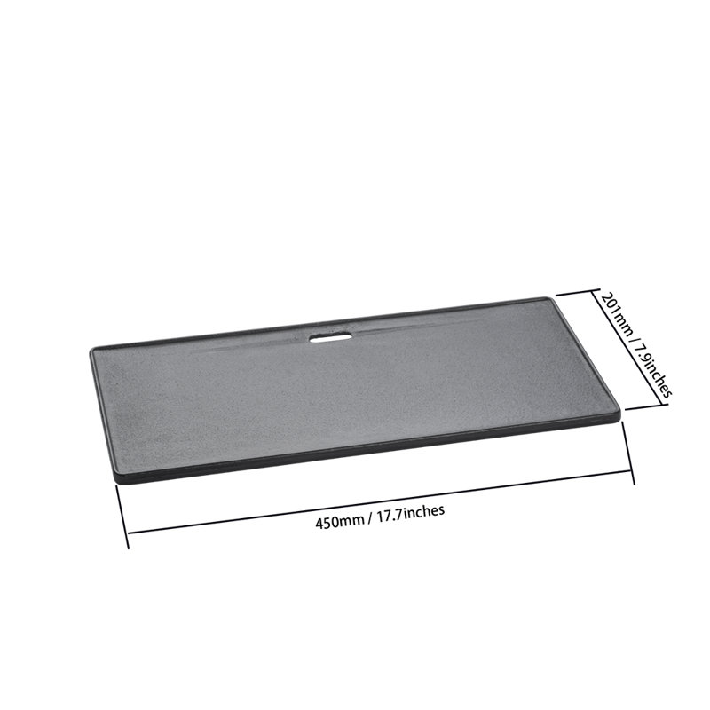 Plaque de cuisson en fonte pour Prokan GT / CGI04