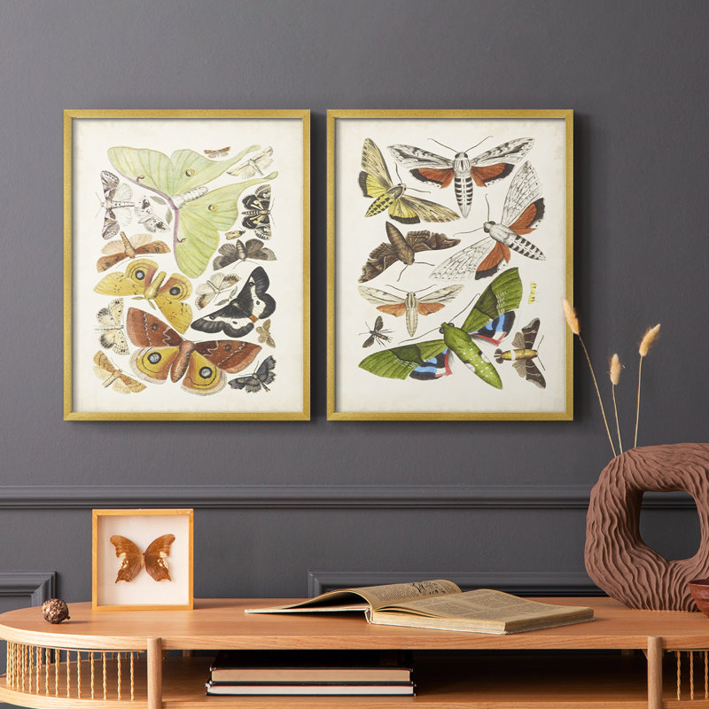 Antique Moths I - impression encadrée de qualité supérieure - prête à être accrochée - aucun clou requis - aucun clou requis