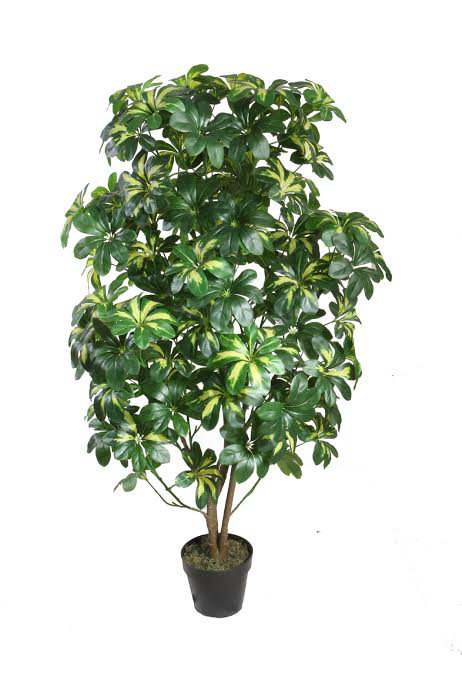 Plante artificielle 51 "à deux tons Schefflera