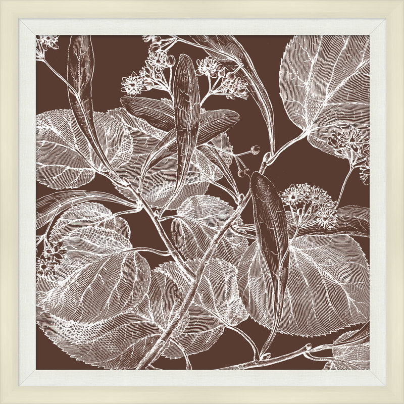 Brown Briar 6 Print