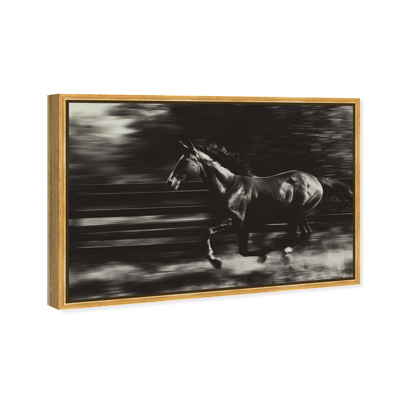 Velocity Unbound Print by Oliver Gal, 31"H x 46"W, Gold Floater Frame