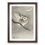 Long-Eared Owl by Ohara Koson - Picture Frame Painting Print-55580553-55580555
