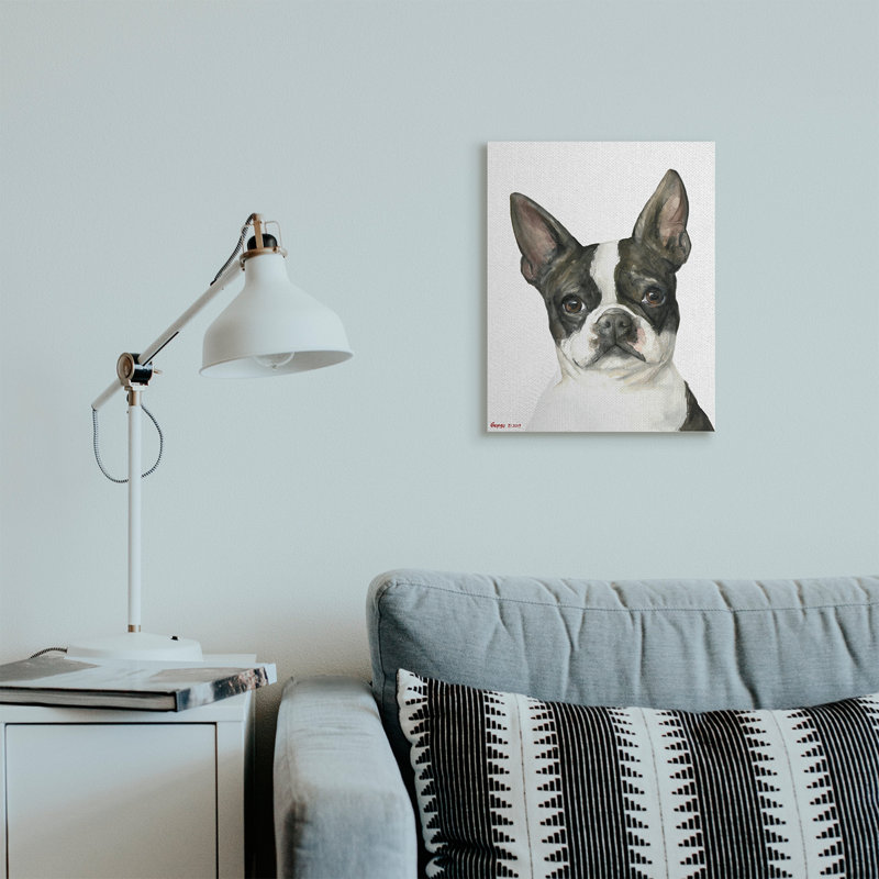 Curieux Boston Terrier Portrait, Toile tendue, H 20 po x l 16 po