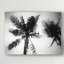 « palm tree looking up ii », reproduction de photo sur toile tendue-1451944341