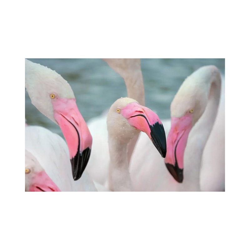 Flamingos IV by Ben Heine - Wrapped Canvas Print, 66.04 cm H x 45.72 cm W x 1.91 cm D