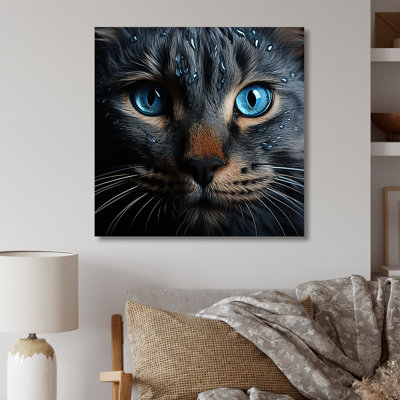 " Cat Blue Eye Reflection "