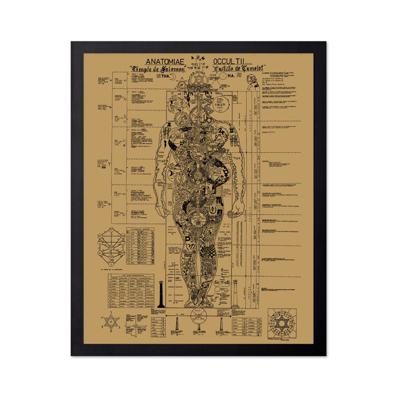 Occult Anatomy, Cadre noir, Affiche, H 24 po x l 32 po