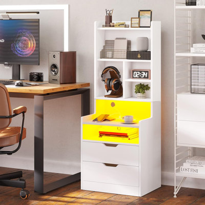 Charley-Marie 2 - Drawer Nightstand,50" Tall Nightstand with Charging Station and LED Lights