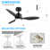 Kyptin 42" 3-blade Downrod Mount Ceiling Fan with LED Lights and Remote Control