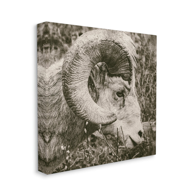 Ram Ram, portrait sur toile par Nathan Larson, H 24 po x l 24 po x P 1,5 po