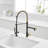 GAWEZA Pull Down Kitchen Faucet-86846739