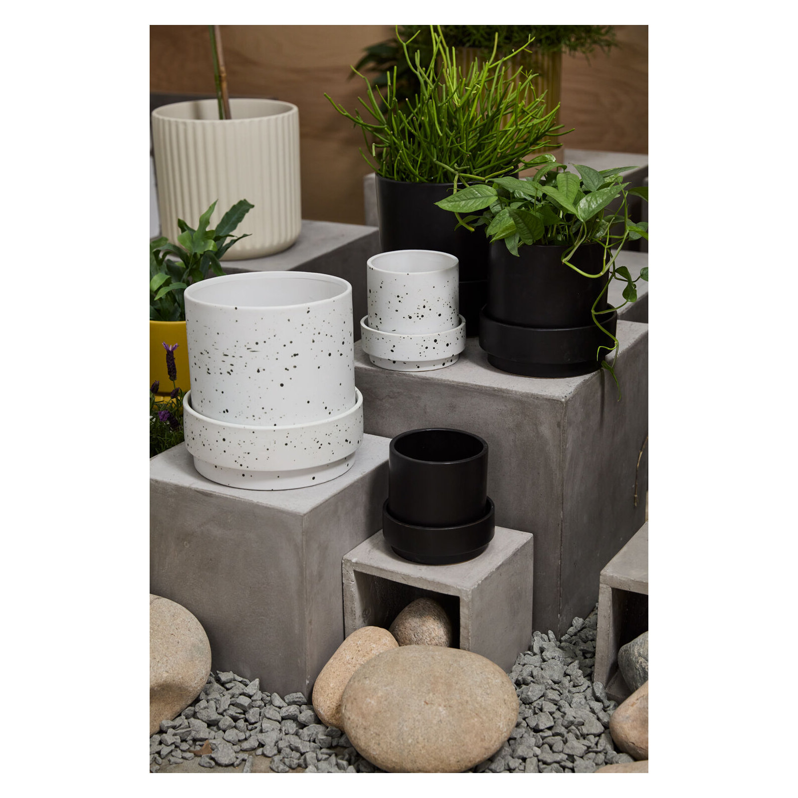 Bridgeway Pot with Saucer, 7.75" H x 8" W x 8" D