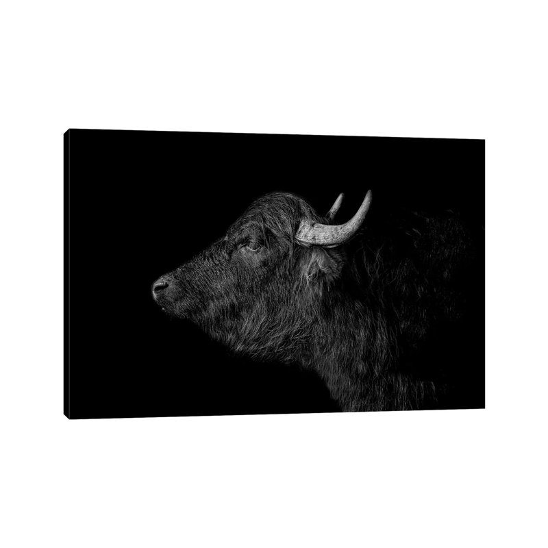 Buffalo - Print on Canvas, Wrapped Canvas, 20.32 cm H x 30.48 cm W
