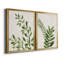 Botanical Wash I - 2 Piece Painting-455244299-455244311-455244318