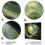 «Green and Black Abstract Spiral Forest», art mural abstrait en métal-1980972693