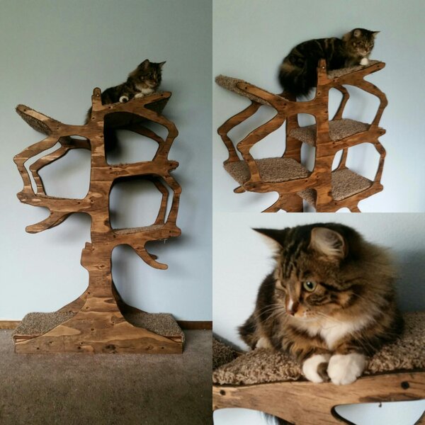 Archie & Oscar™ Hennings Cat Tree & Reviews 