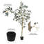 Arbre en pot Winnetka-27703839