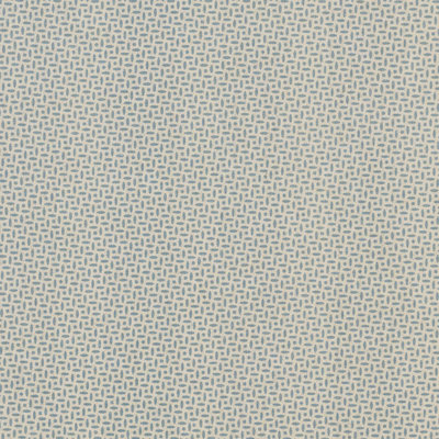 Schumacher x Veere Grenney Berrydown Fabric