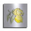 «Lemon Still Life II» par Chris Paschke-1827945883